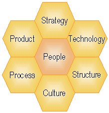 Seven Aspects of Business Change